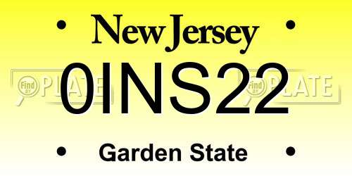 0INS22 New Jersey License Plate