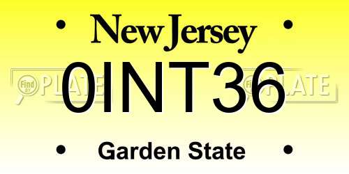 0INT36 New Jersey License Plate