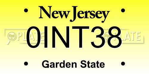 0INT38 New Jersey License Plate