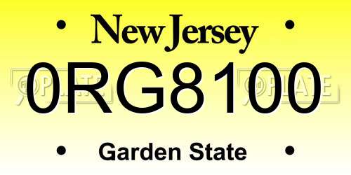 0RG8100 New Jersey License Plate