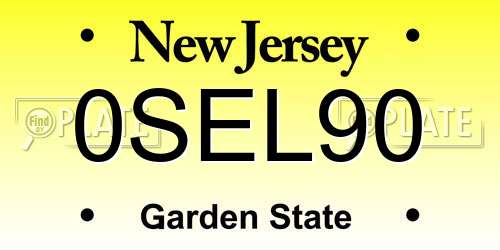0SEL90 New Jersey License Plate