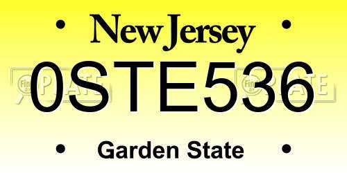 0STE536 New Jersey License Plate