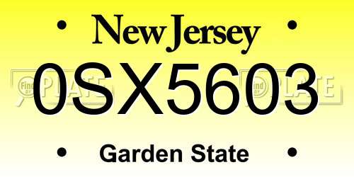 0SX5603 New Jersey License Plate