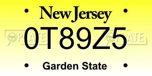 0T89Z5 New Jersey License Plate