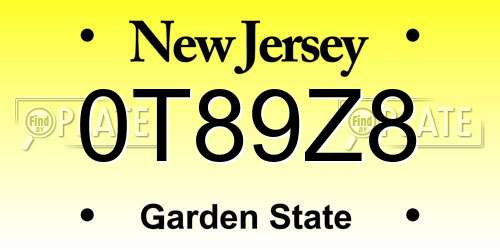 0T89Z8 New Jersey License Plate