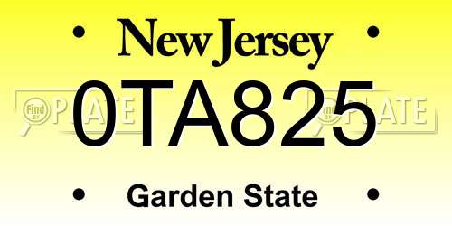 0TA825 New Jersey License Plate