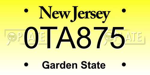 0TA875 New Jersey License Plate