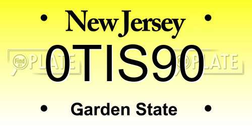 0TIS90 New Jersey License Plate