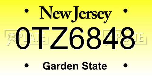 0TZ6848 New Jersey License Plate