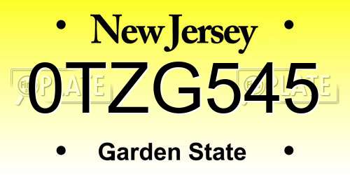 0TZG545 New Jersey License Plate