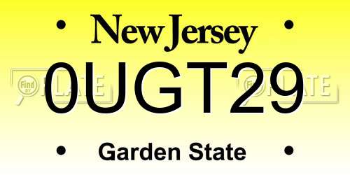 0UGT29 New Jersey License Plate