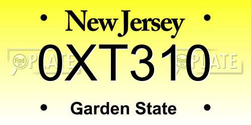 0XT310 New Jersey License Plate