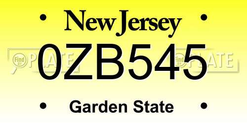 0ZB545 New Jersey License Plate