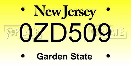 0ZD509 New Jersey License Plate
