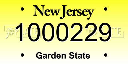 1000229 New Jersey License Plate