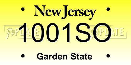 1001SO New Jersey License Plate