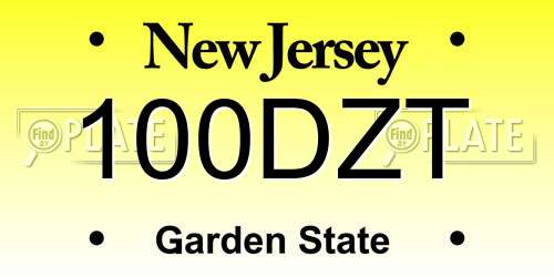 100DZT New Jersey License Plate