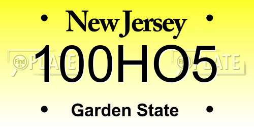 100HO5 New Jersey License Plate