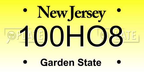 100HO8 New Jersey License Plate