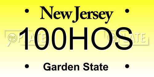 100HOS New Jersey License Plate