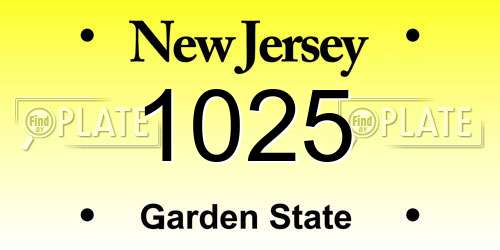 1025 New Jersey License Plate