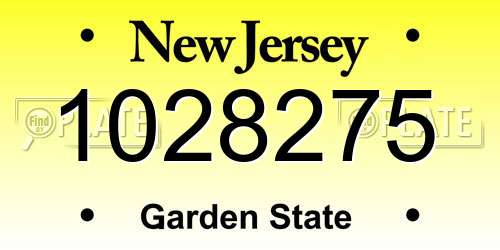 1028275 New Jersey License Plate
