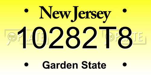 10282T8 New Jersey License Plate