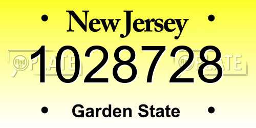 1028728 New Jersey License Plate
