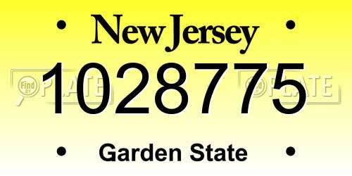 1028775 New Jersey License Plate