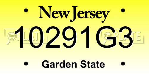 10291G3 New Jersey License Plate