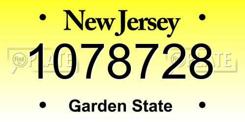 1078728 New Jersey License Plate