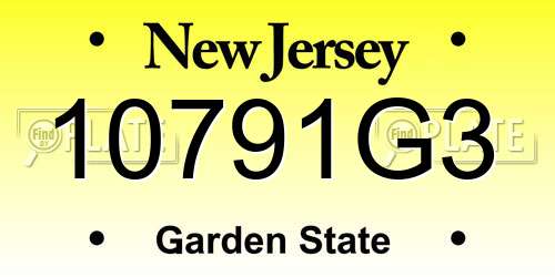 10791G3 New Jersey License Plate