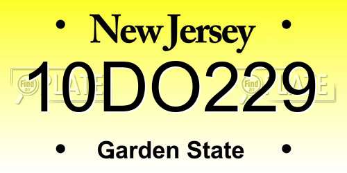 10DO229 New Jersey License Plate