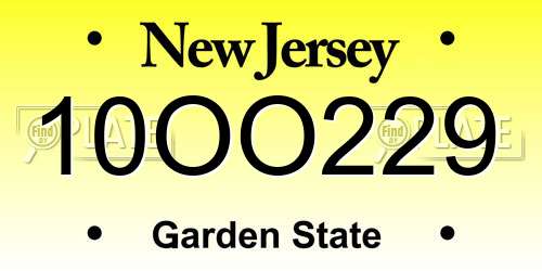 10OO229 New Jersey License Plate