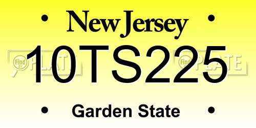 10TS225 New Jersey License Plate