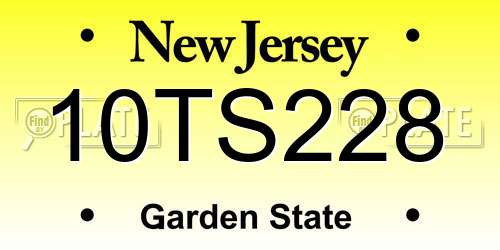 10TS228 New Jersey License Plate