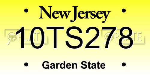 10TS278 New Jersey License Plate