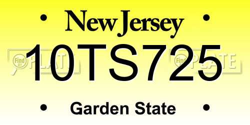 10TS725 New Jersey License Plate