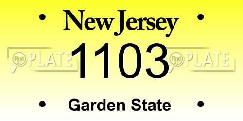 1103 New Jersey License Plate