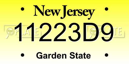 11223D9 New Jersey License Plate