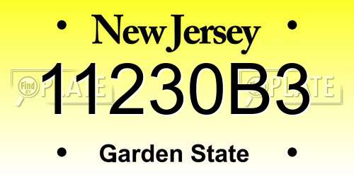 11230B3 New Jersey License Plate