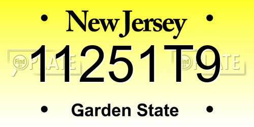 11251T9 New Jersey License Plate