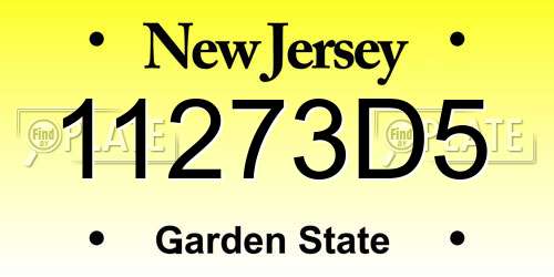 11273D5 New Jersey License Plate
