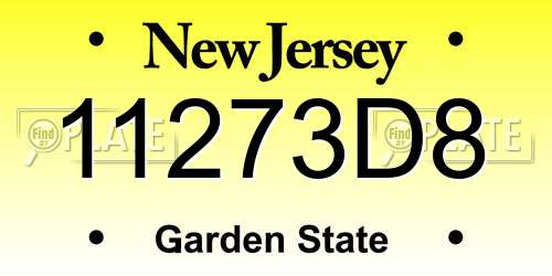 11273D8 New Jersey License Plate