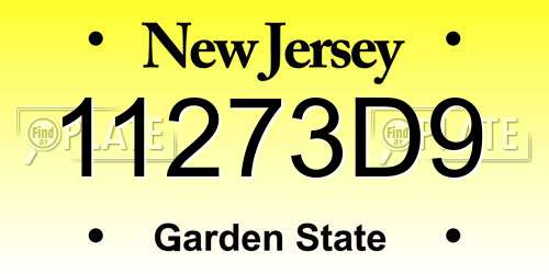 11273D9 New Jersey License Plate