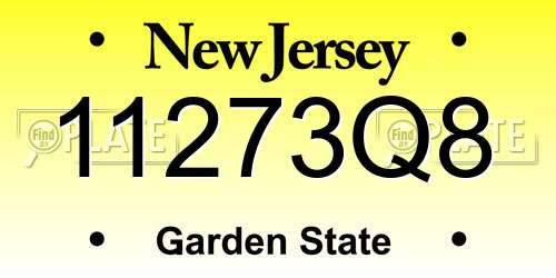 11273Q8 New Jersey License Plate