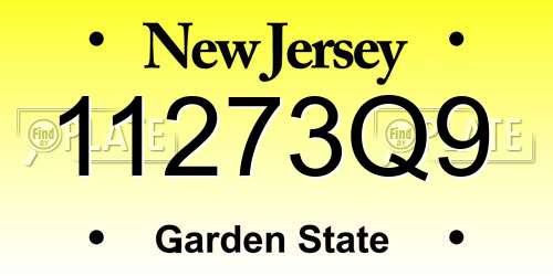 11273Q9 New Jersey License Plate