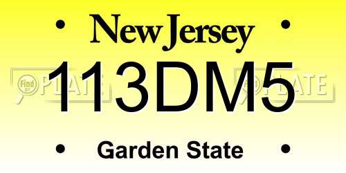 113DM5 New Jersey License Plate