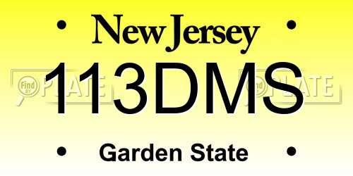 113DMS New Jersey License Plate