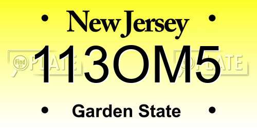 113OM5 New Jersey License Plate